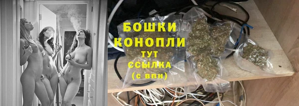 бошки Алексин