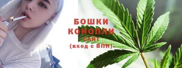 бошки Алексин