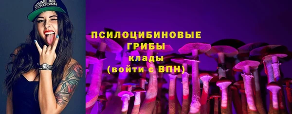 гидропоника Алексеевка