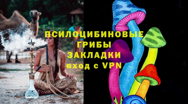 a pvp Кодинск