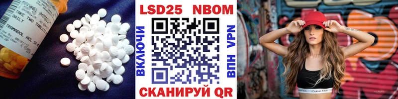 blacksprut как войти  Новая Ладога  Лсд 25 экстази кислота 