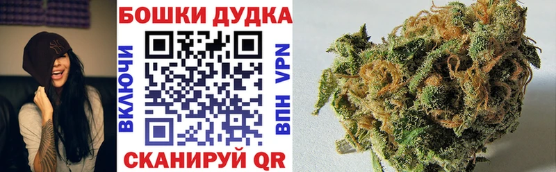 Бошки марихуана Amnesia  Новая Ладога 